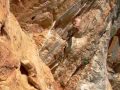 Zum Video »Of Man and Beast = The Free Solo Climber«