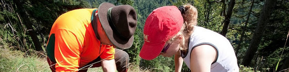 DAV Aktion Schutzwald: Helferinnen und Helfer für den alpinen Schutzwald gesucht