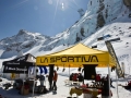 Festival_Area