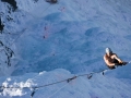 Jack_Mueller_Superfinal