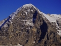 eiger_2008_steck_001