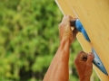 Charity_Bouldern_Flirsch_001