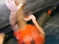 soulmoves_2009_aachen_cd_042