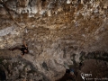 dudek_9a_009