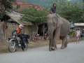 schoeffl_laos_03_2009_001