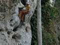 schoeffl_laos_03_2009_009