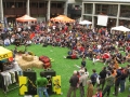 melloblocco_2009_002