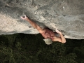 toni_lamprecht_jaws_002_