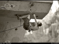 arco_rockmaster_2009_pfanzelt_08