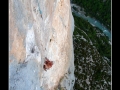 toni_verdon_mer_2009_01