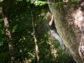 andreas_bindhammer_allgaeu_2009_09_03