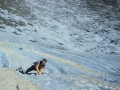 Zahir_2009_02