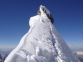 Oswald_Pakistan_Drifika_3_Top