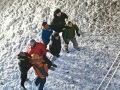 Final_check