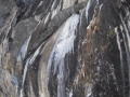 Gorillas_im_Nebel_Leichtfried_07