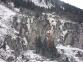 Gorillas_im_Nebel_Leichtfried_08