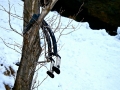 Schleierfall_2010_02