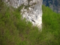 montenegro_2010_006