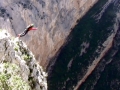 borderline_2010_04