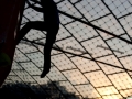 Atmospheric shot if the 2010 Boulderworldcup in the Olympic Stadium in Munich, Germany.