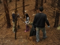 magic_wood_cleanup_2010_02