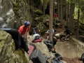 magic_wood_cleanup_2010_03