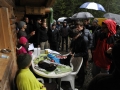 magic_wood_cleanup_2010_06