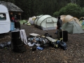 magic_wood_cleanup_2010_07