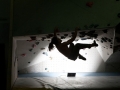 adidas_rockstars_2011_03_03_04