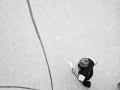 e_speedcup_2011_07_18_27