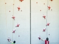 e_speedcup_2011_07_18_51