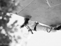 lwc_briancon_2011_08_05_021