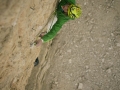 wohlleben_2011_08_12_13