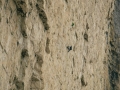 wohlleben_2011_08_12_19