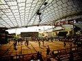 bwc_muenchen_2011_08_20_08_wettkampflocation