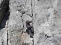 holzer-2011-09-19-04
