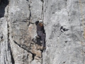 holzer-2011-09-19-05