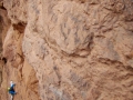 wohlleben_2011_10_21_02