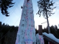 oeav_2012_01_19_01