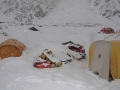 tnf_2012_02_14_01