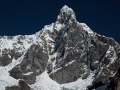 wohlleben_2012_07_15_05