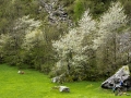 melloblocco_08_2013_05_05_04