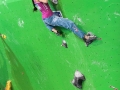 bwc_dragomer_2013-05-14_01
