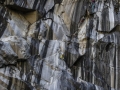 tnf_2013_07_04_02