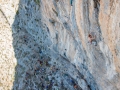 tnf_2013_10_17_045