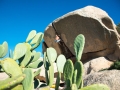 la_sportiva_2014_01_09_05