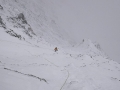 tnf_2014_03_04_01