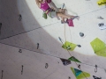 Final of the Lead Worldcup in Imst

Climbing