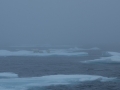 nico_favresse_2014_10_13_08