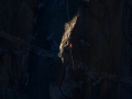 dawn-wall-2015-01-15-16-24